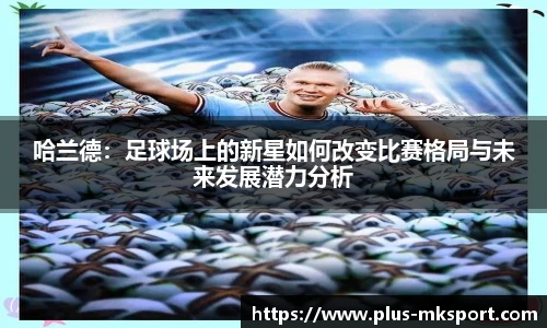 mk体育官网首页